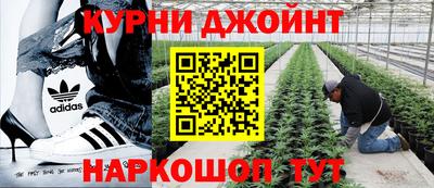 эйфоретик Лесосибирск