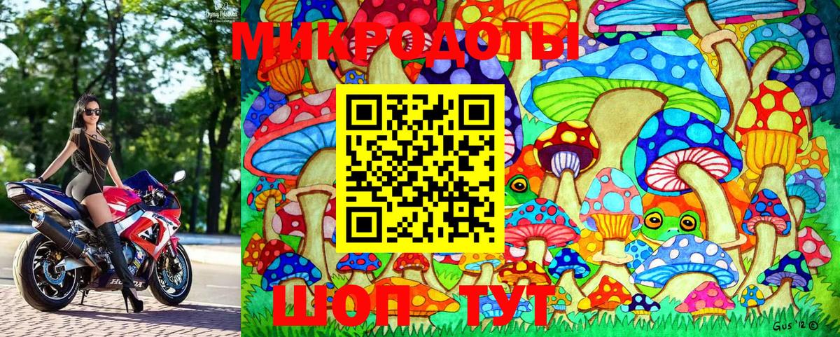 Галлюциногенные грибы Magic Shrooms Добрянка