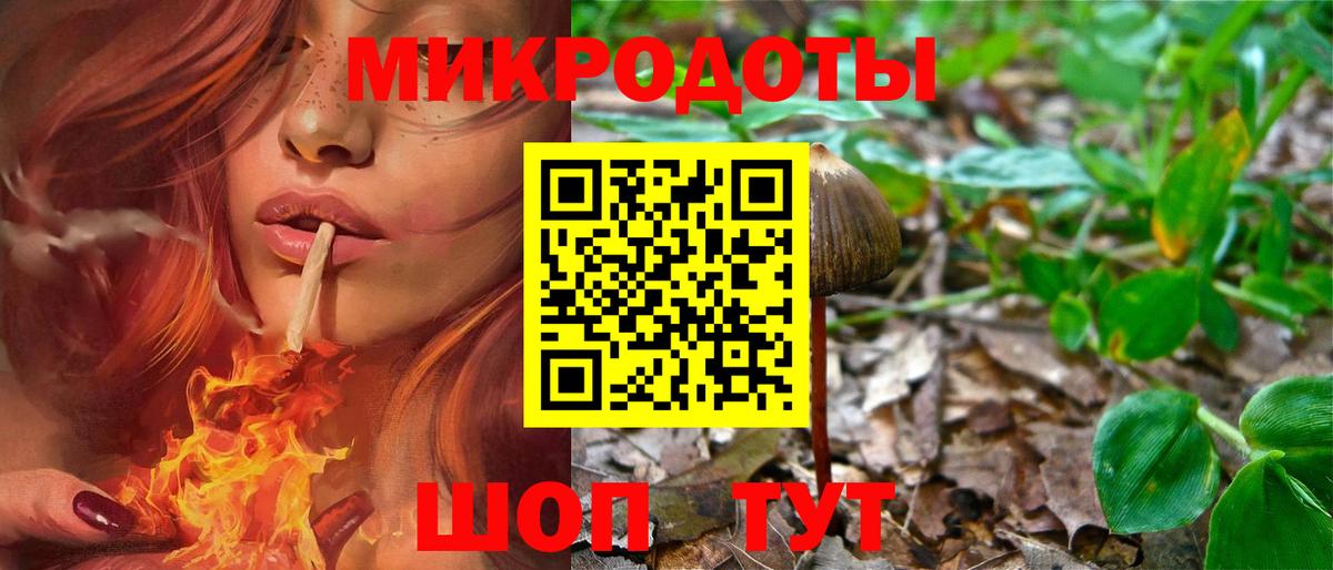 Псилоцибиновые грибы Psilocybe  Вход с VPN  Добрянка 